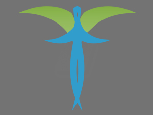 cd_6_angle